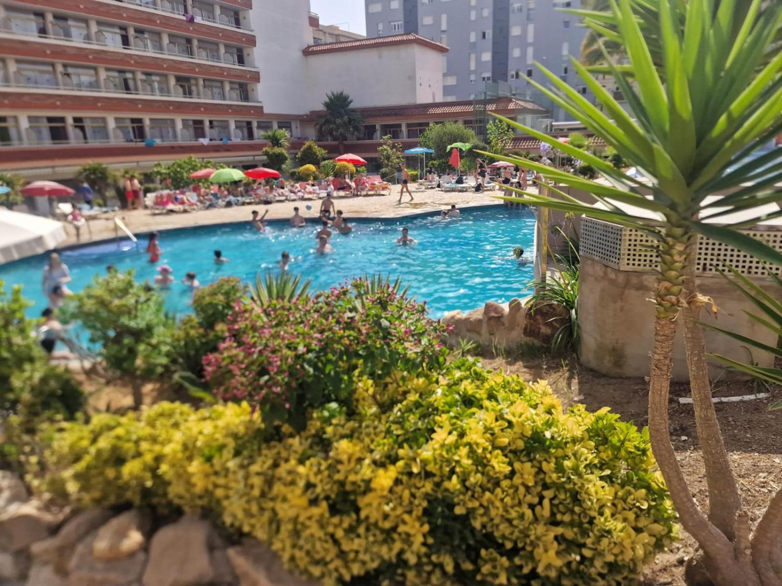 Hotel Esplendid بلانيس المظهر الخارجي الصورة